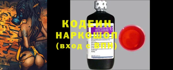 прущие грибы Богородск