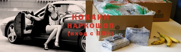 прущие грибы Богородск