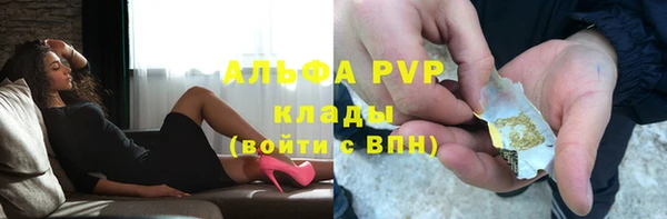 дмт Белокуриха