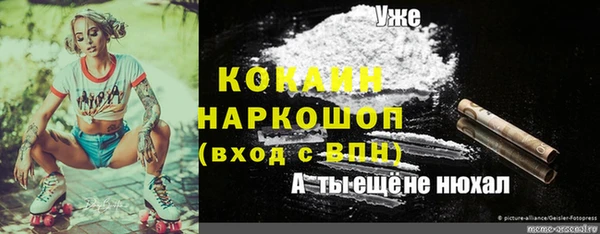 таблы Богданович