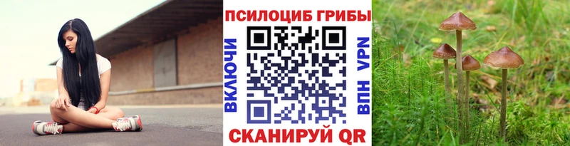 Псилоцибиновые грибы GOLDEN TEACHER  Тюкалинск 